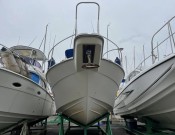 BOAT YAMAHA PC-31