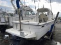Boat Yamaha FC-26