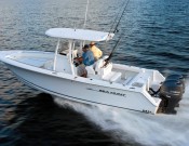 BOAT SEA HUNT 21Z